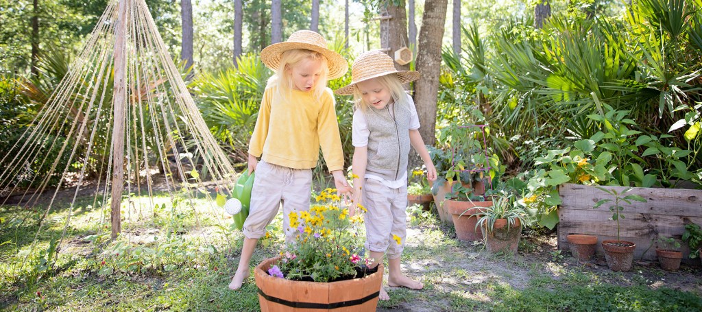 Finding Peace In Your&nbsp;Backyard